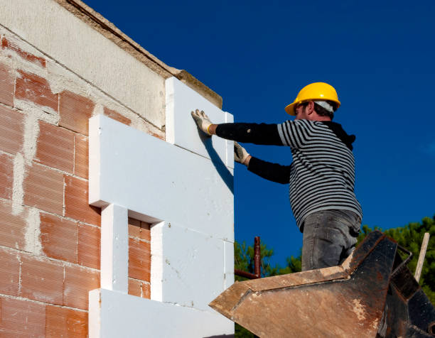 Best Commercial Insulation in Lynwood, IL