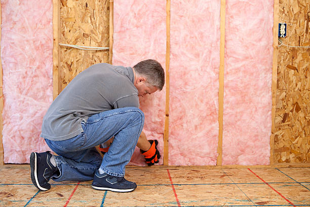 Best Residential Insulation in Lynwood, IL